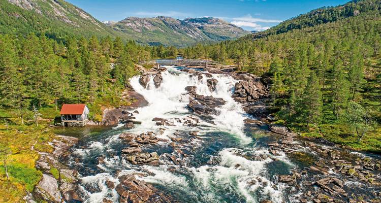 Reißender Wasserfall umgeben von Kiefern und felsigem Gelände.