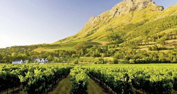 South Africa - Hiking the Highlights of the Cape Region and Garden Route - DERTOUR 5