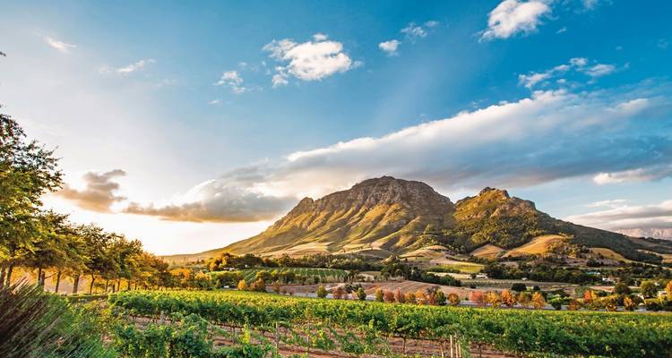 South Africa - Hiking the Highlights of the Cape Region and Garden Route - DERTOUR 1