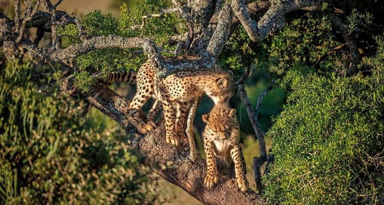 Sudáfrica - Senderismo por los lugares más destacados de la región del Cabo y la Ruta Jardín - DERTOUR 8