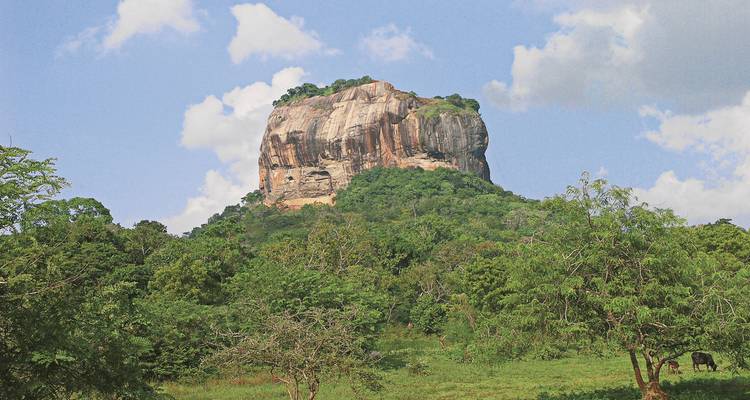 Une grande formation rocheuse entourée d'arbres.