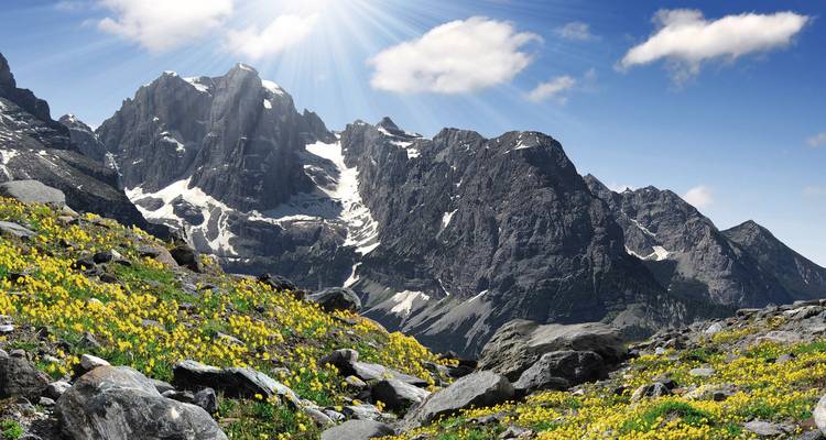 Berglandschap met wilde bloemen en rotsachtige toppen.