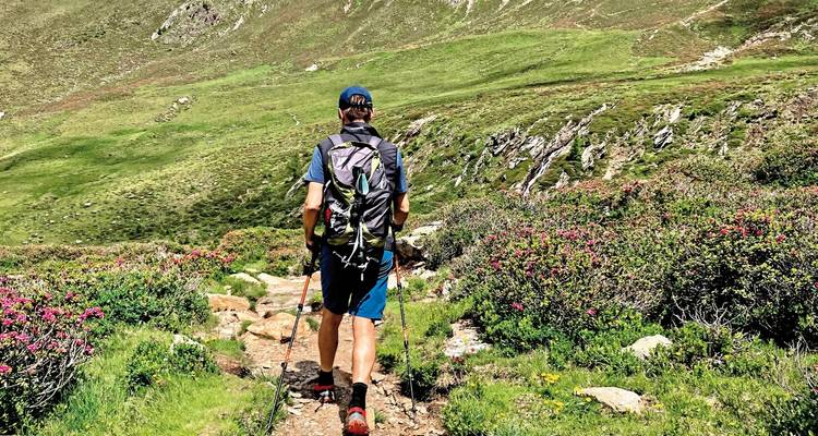 Een persoon die wandelt in een bergachtig gebied met groen en bloemen.
