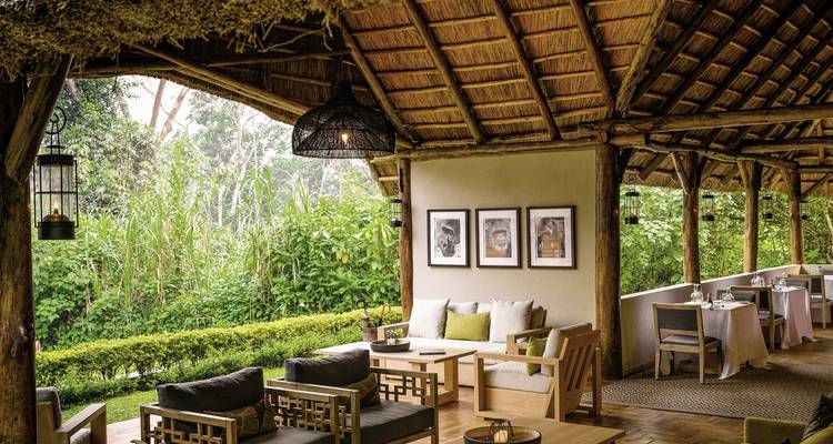 Coin salon du lodge avec mobilier en bois et vue sur la forêt.