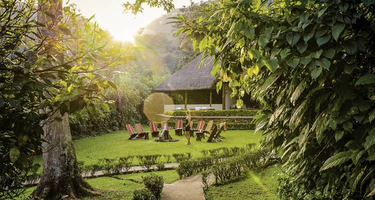 Cadre de jardin avec coin salon et soleil qui brille à travers les arbres.