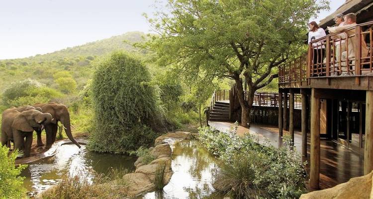 Lodge de safari avec des personnes observant des éléphants près d'un point d'eau.