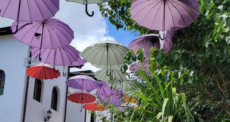 Des parapluies colorés suspendus au-dessus d'une rue.