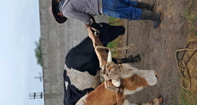 ANDES EXPERIENCE - Vie en communauté - Lead Adventures  1