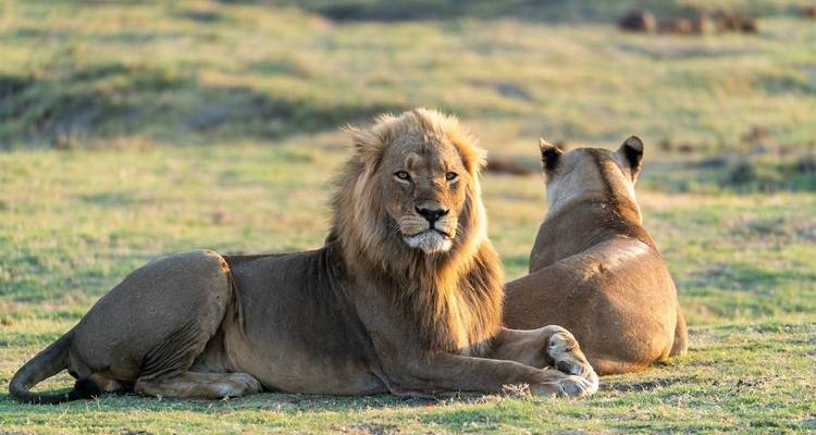 Increíble safari de lujo en Tanzania - Nature Safari 2