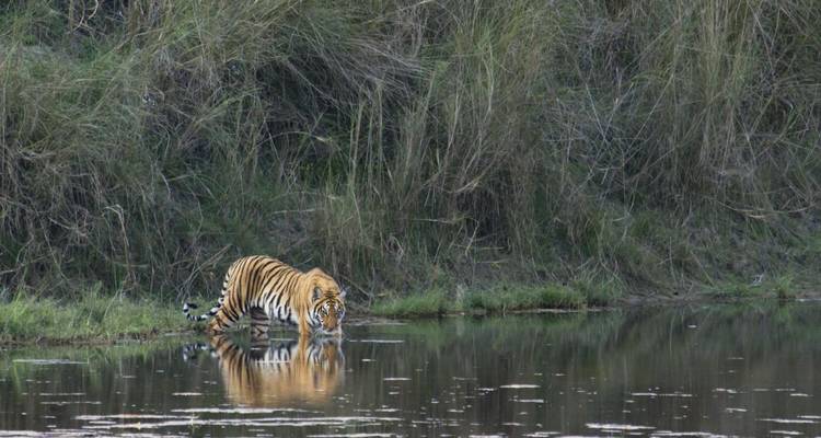 Aventura familiar en la India - Encounters Travel 1