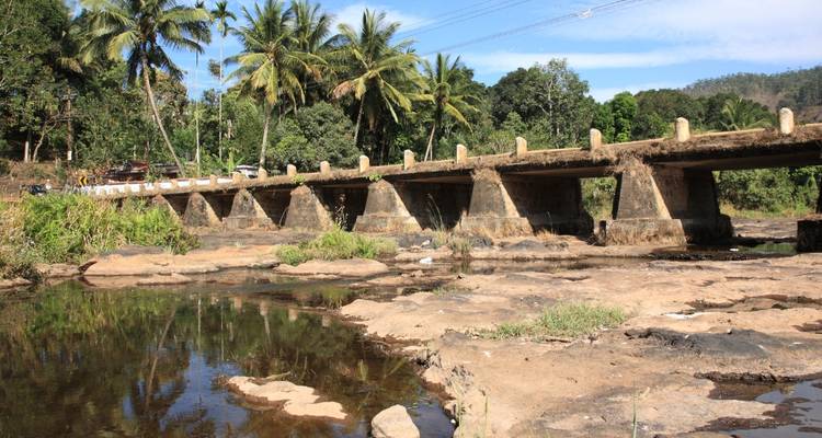 Depuis Kochi : Circuit de 3 jours dans le sanctuaire de Periyar ! -  Taj Voyages Tours  3