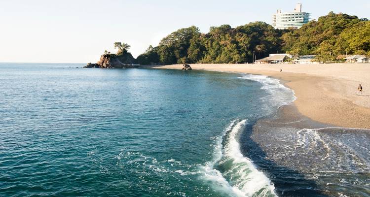Depuis Kochi : Circuit de 3 jours dans le sanctuaire de Periyar ! -  Taj Voyages Tours  8