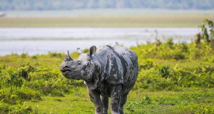 Depuis Kochi : Circuit de 3 jours dans le sanctuaire de Periyar ! -  Taj Voyages Tours  10