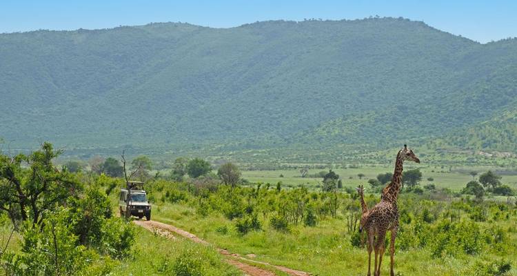 Unknown Tanzania - Livingstone, Mafia and Usambara - DIAMIR Erlebnisreisen 9