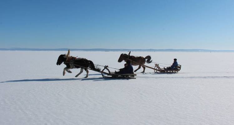 Two horse-drawn sleds racing on ice.