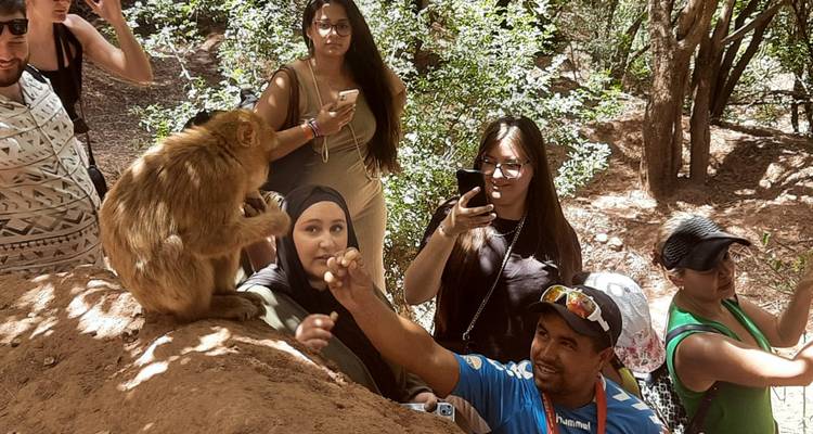 Marrakech: 4-Day Tour with Cooking Class and Waterfall Trip - Discover Morocco  4