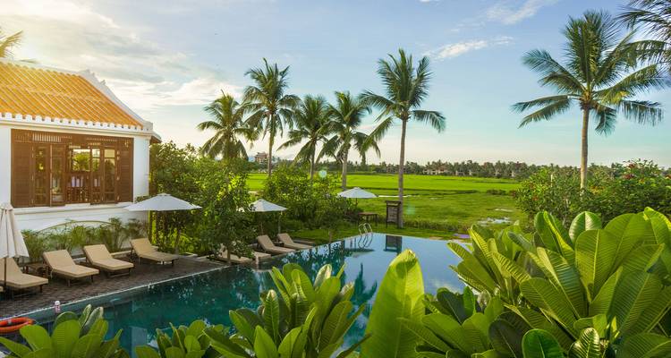 Zone de piscine du complexe entourée d'une végétation tropicale luxuriante.