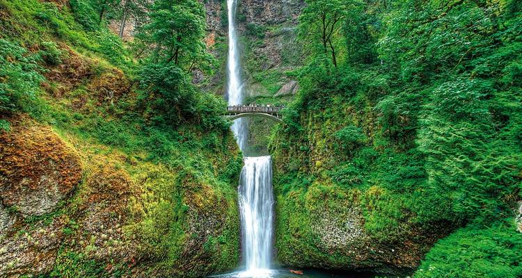 Majestic waterfall with a bridge spanning across it, surrounded by lush green cliffs.