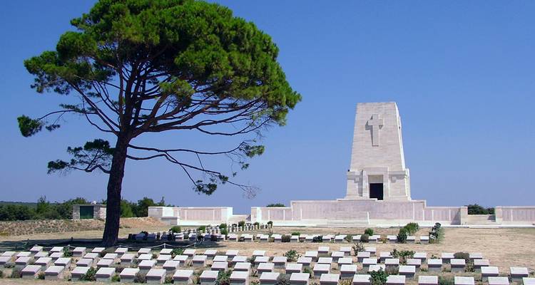 Open field cemetery with rows of headstones beside tall pine tree and white monument