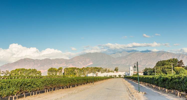 6 jours de découverte de Salta et Jujuy : avec le train des nuages - Signature DMC 8
