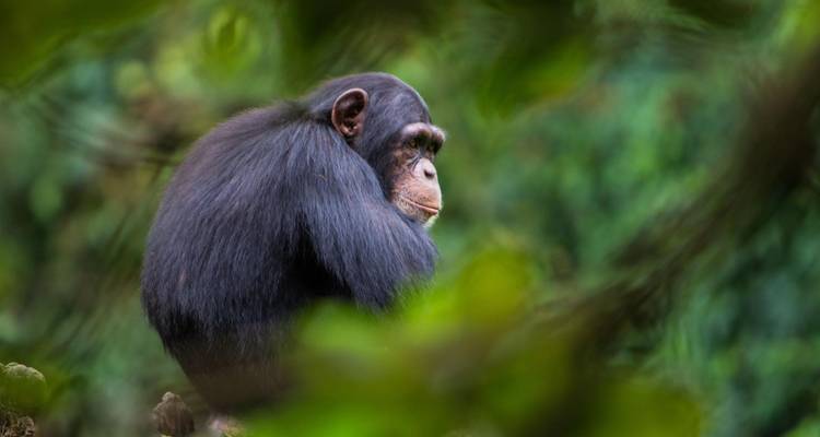 Rencontres en Sierra Leone - Encounters Travel 5