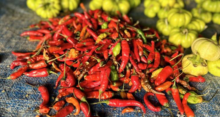Rencontres en Sierra Leone - Encounters Travel 4