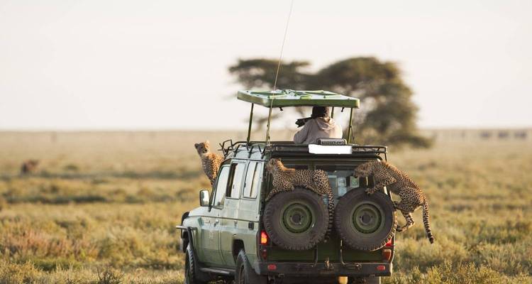 3 DAYS MAASAI MARA NATIONAL RESERVE - Grey Impala Safaris 4