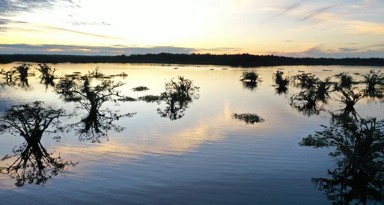 Amoureux de la nature en Amazonie 5j/4n - True Ecuador Travel 3