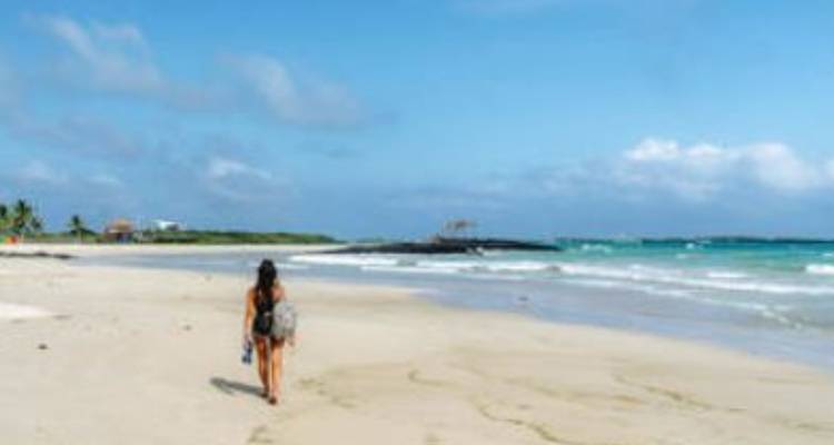 Galapagos complete adventure 3 islands - 10 days - Gulliver Expeditions 8