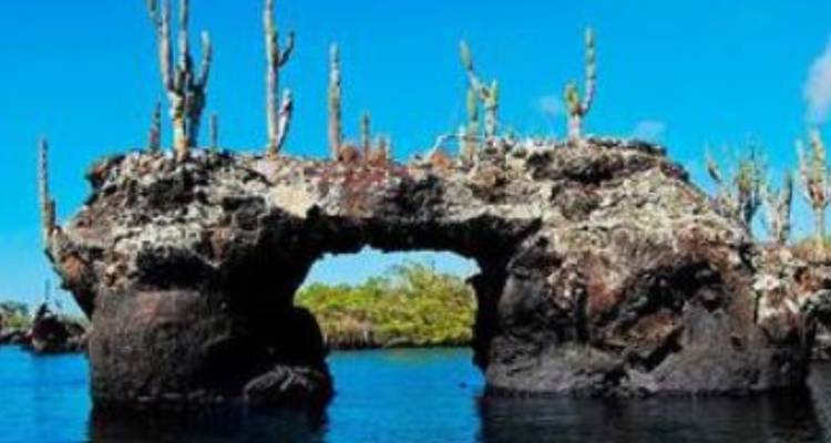 Galapagos complete adventure 3 islands - 10 days - Gulliver Expeditions 9