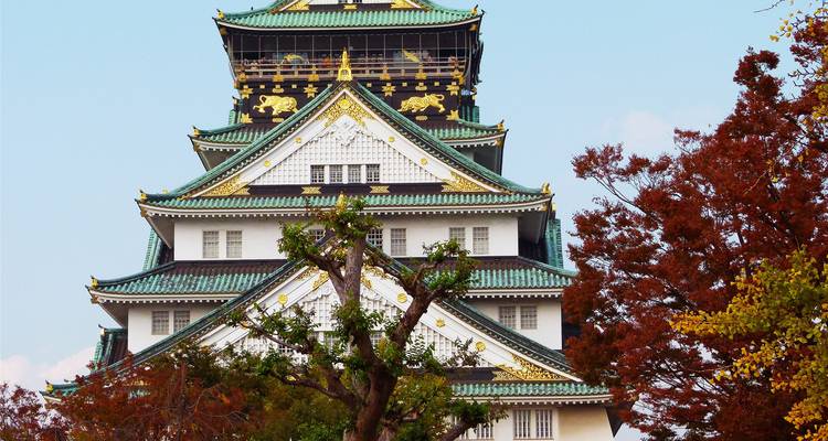 10 Días de Otoño en Japón en Familia con Adolescente (guía y conductor privados） - UME Travel Co. Ltd 6