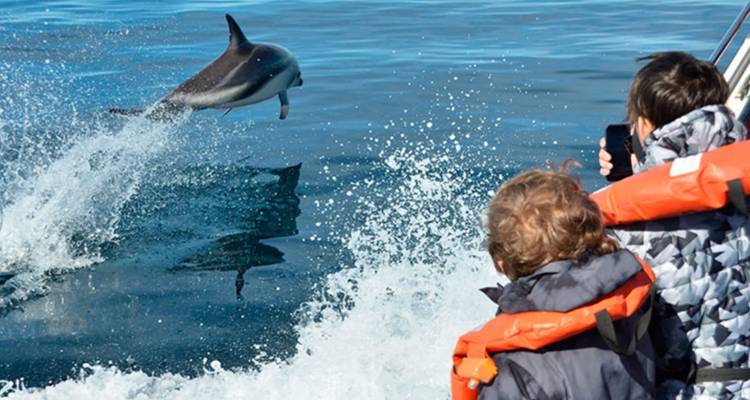 8 Days Beautiful Bali & Lovina Dolphin (private guide & driver） - UME Travel Co. Ltd 8