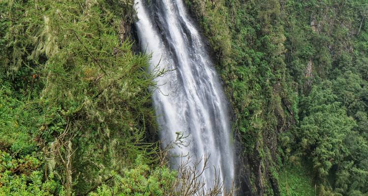 Ein malerischer Wasserfall, umgeben von üppigem Grün.