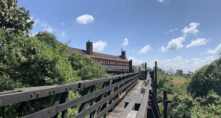 Ein hölzerner Gehweg, der zu einer Hütte in einer Waldumgebung führt.