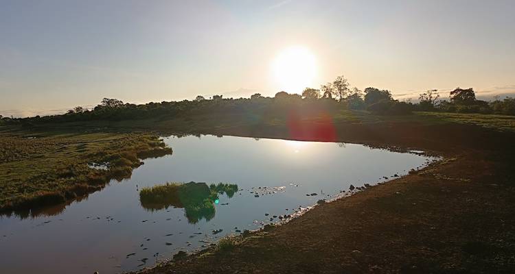 Ein Sonnenuntergangsblick über ein Wasserloch mit grasiger Umgebung.