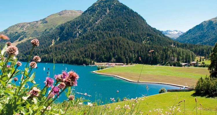 Croisière alpine Randonnée ferroviaire - DERTOUR 2
