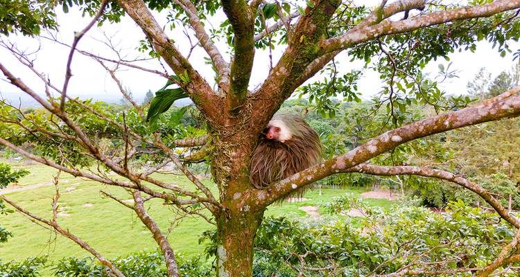 Costa Rica Adventure - INTRO Travel 1