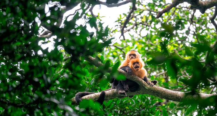 Costa Rica Adventure - INTRO Travel 8