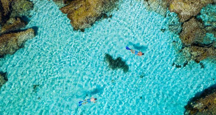 Deux personnes faisant de la plongée en apnée dans une eau claire et peu profonde.