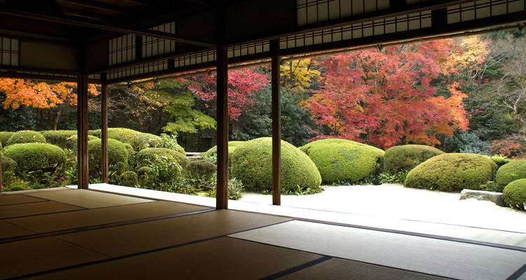 Ein traditioneller japanischer Garten, betrachtet aus dem Inneren eines Teehauses.