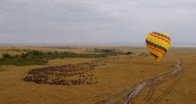 8 días en Samburu, Aberdare, Nakuru, Naivasha y Masai Mara - Jill Travel 6
