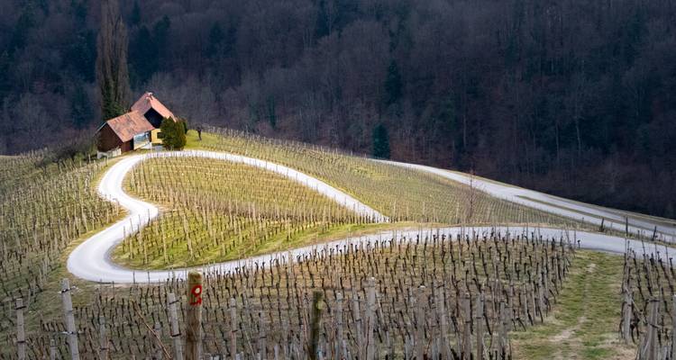Slovénie Goldhorn Trail - Helia Travel Agency 3