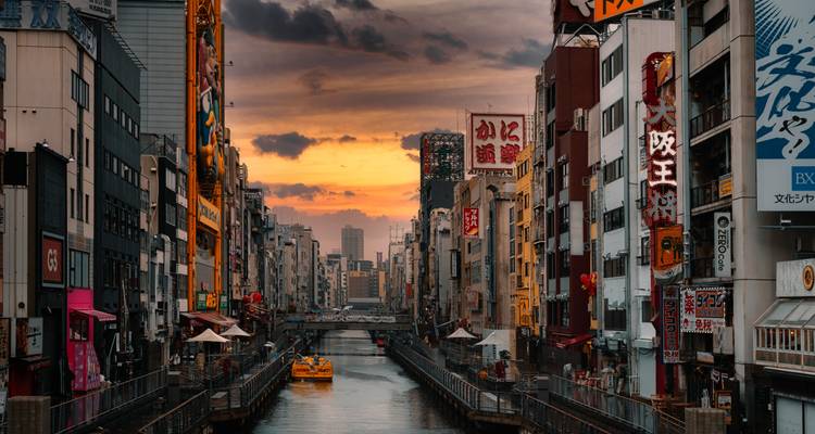 Viaje otoñal de 10 días por Japón para personas mayores (guía y conductor privados）) - UME Travel Co. Ltd 7