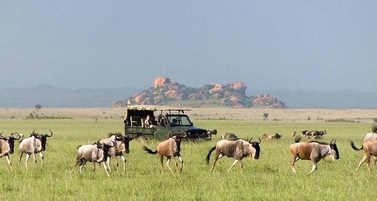 Safari de 7 días por la naturaleza y actividades al aire libre en Kenia - Jill Travel 1