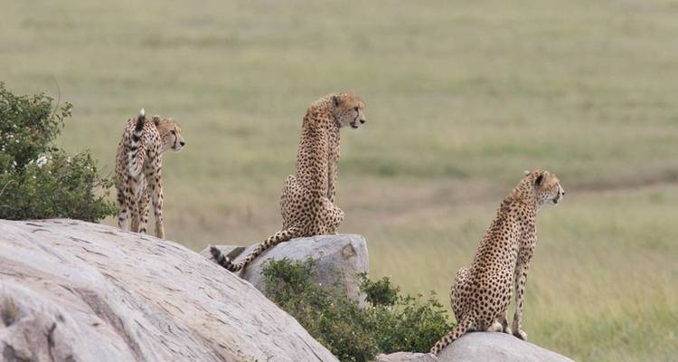 Safari de 7 días por la naturaleza y actividades al aire libre en Kenia - Jill Travel 8