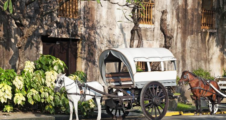 Un carruaje tradicional tirado por caballos espera junto a un edificio colonial de piedra desgastado bajo las sombras moteadas de los árboles.