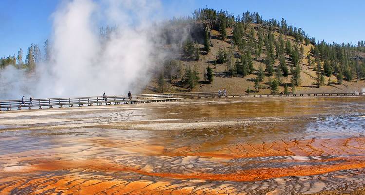 Besucher gehen auf einem Gehweg neben dampfenden geothermischen Becken entlang, die in Yellowstone National Park in leuchtenden Orange- und Weißtönen gestreift sind.