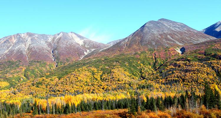 Central Alaska Summer Camping - 11 days - On The Go Tours 5