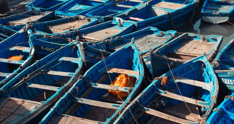 Close-up view of blue fishing boats.