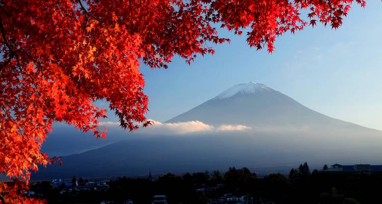 Autumn Explorer with kids in Japan (private guide & driver） - UME Travel Co. Ltd 6
